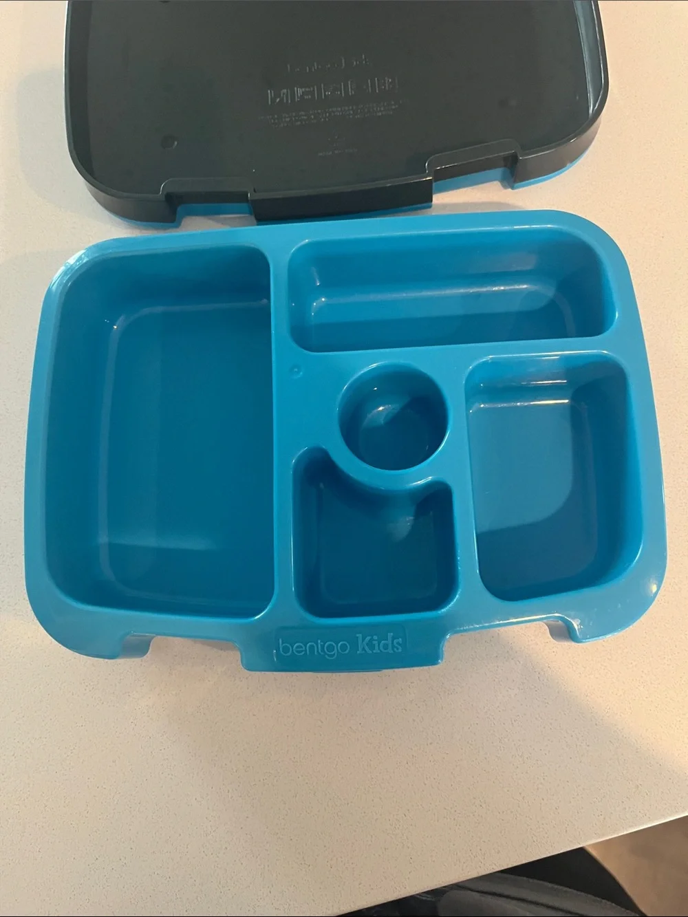 Pottery Barn Kids Dinosaur Lunchbox and Bentgo Dinosaur Lunchbox